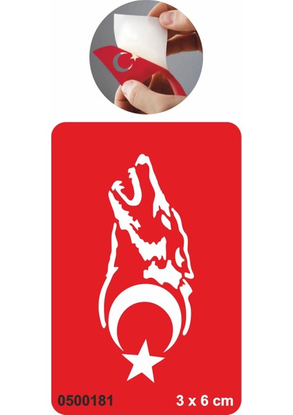 Gökbörü Dövme Şablonu Kına Deseni