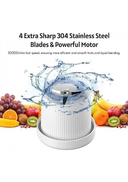 Taşınabilir Mini Blender modelleri