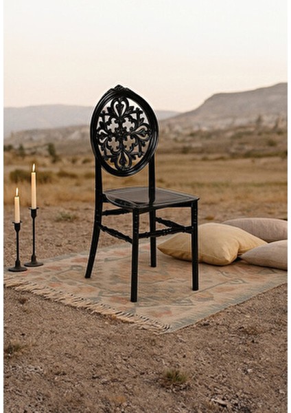 Home Venüs 2 Adet Bahçe Balkon Mutfak Sandalye Siyah fiyatları