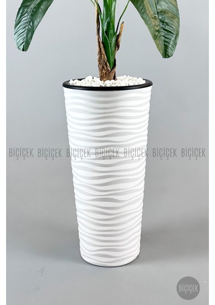 Muz Ağacı Tek Gövde 125-150 cm