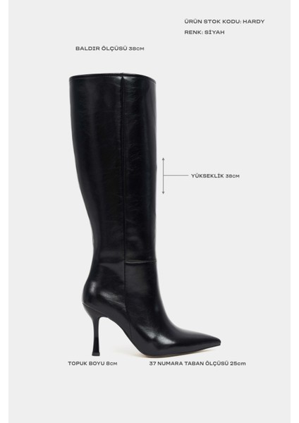 Hardy Siyah Mat Sivri Burun Ince Topuklu Kadın Çizme modelleri