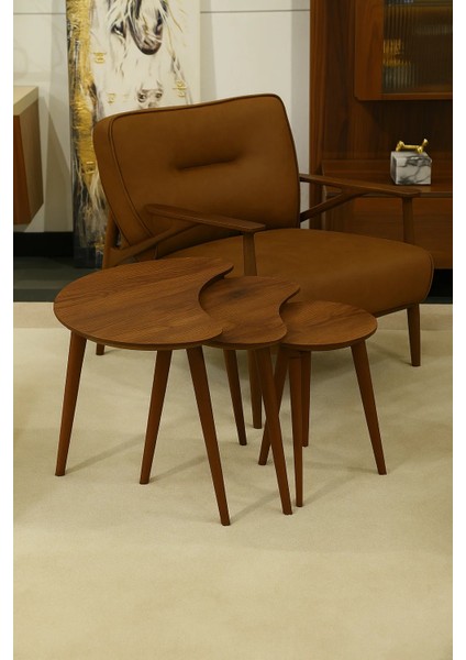 Berlin 3'lü Zigon Sehpa %100 Mdf Ahşap fiyatları