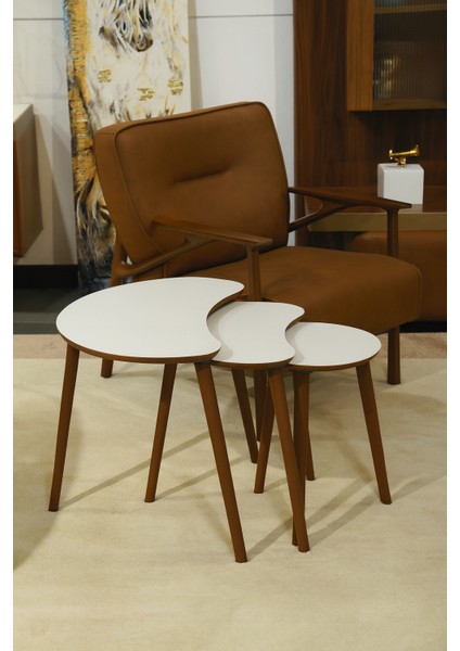 Berlin 3'lü Zigon Sehpa %100 Mdf Beyaz fiyatları