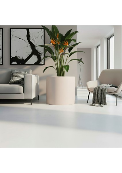 Aura Cylindro Fiber Silindir Saksı 50X50CM Mat - Büyük Boy - Üst Açıklık 42CM fiyatları