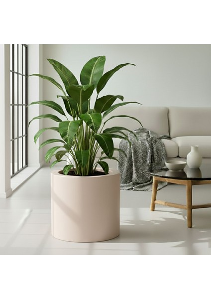 Aura Cylindro Fiber Silindir Saksı 50X50CM Mat - Büyük Boy - Üst Açıklık 42CM modelleri