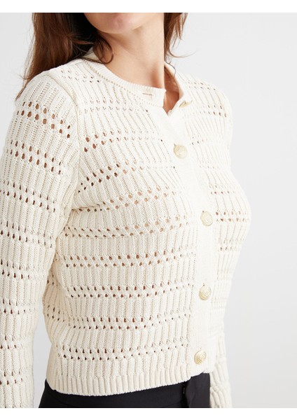 Yeni Sezon Bisiklet Yaka Ajurlu Kadın Triko Hırka modelleri