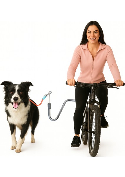 Bisiklet Için Köpek Yürütme Aparatı U Şeklinde M-Xl Köpek Irkları Için