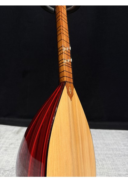 Kompozit Cura Bağlama AND-C10 modelleri