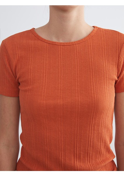 Yeni Sezon Bisiklet Yaka Dokulu Kadın Tişört modelleri