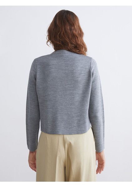 Yeni Sezon Bisiklet Yaka Kadın Triko Hırka fırsatları