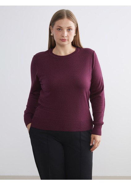 Yeni Sezon Bisiklet Yaka Kadın Triko Kazak fiyatları