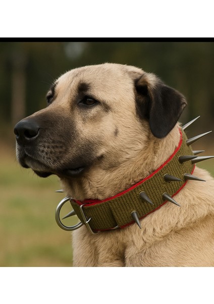 Dikenli Dokuma Köpek Tasması 75 cm modelleri