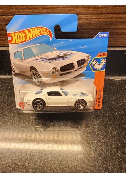 1/64 '73 Pontiac Firebird