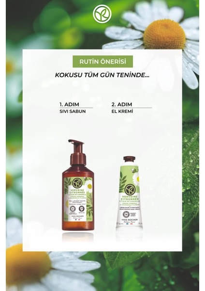 El Kremi- Nemlendirici Besleyici Tazeleyici Mine Çiçeği Papatya- Vegan