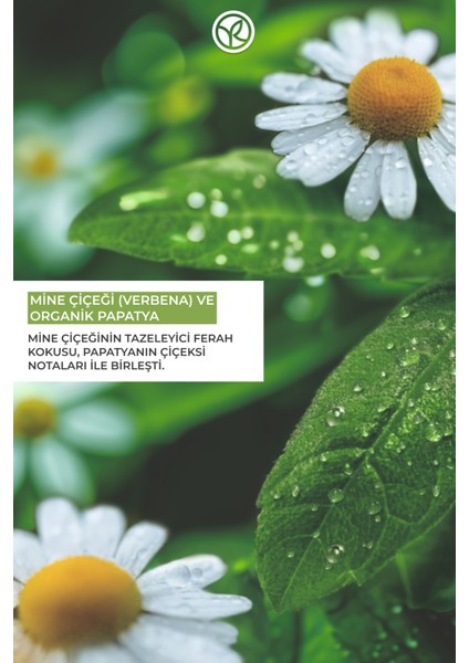 Saç ve Vücut Spreyi- Tazeleyici Mine Çiçeği Papatya- Vegan