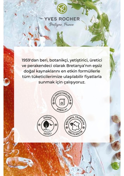 Katı Duş Jeli - Nemlendirici Canlandırıcı Mango Kişniş-SLS,SLES İçermez,Vegan-100gr