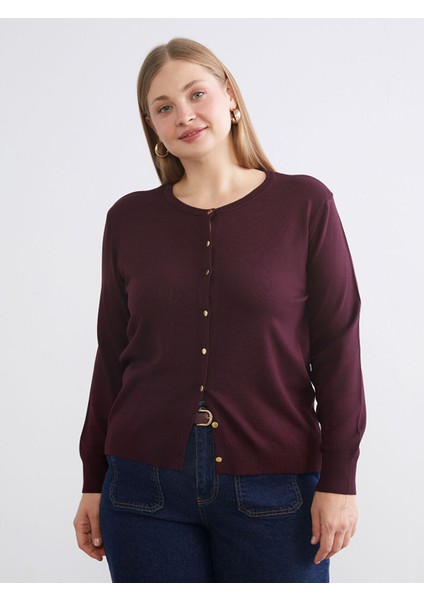 Yeni Sezon Bisiklet Yaka Kadın Triko Hırka fiyatları