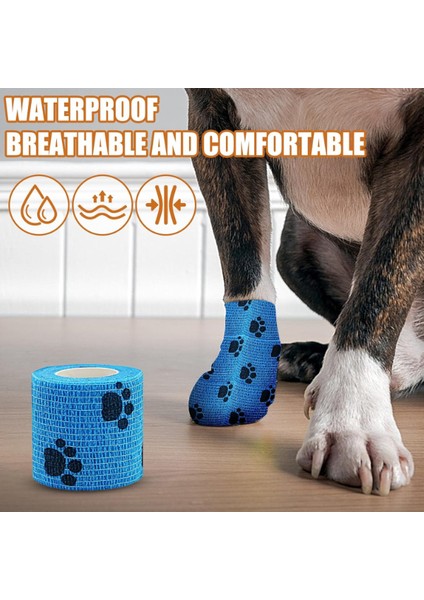 Pati Bandajı fiyatları