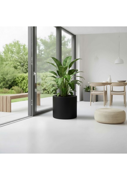 Aura Cylindro Fiber Silindir Saksı 50X50CM Mat - Büyük Boy - Üst Açıklık 42CM fiyatları