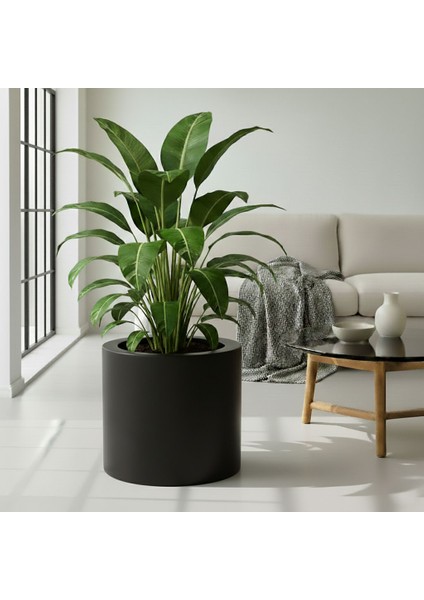 Aura Cylindro Fiber Silindir Saksı 50X50CM Mat - Büyük Boy - Üst Açıklık 42CM modelleri