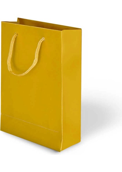 Altın Karton Çanta 17X24CM