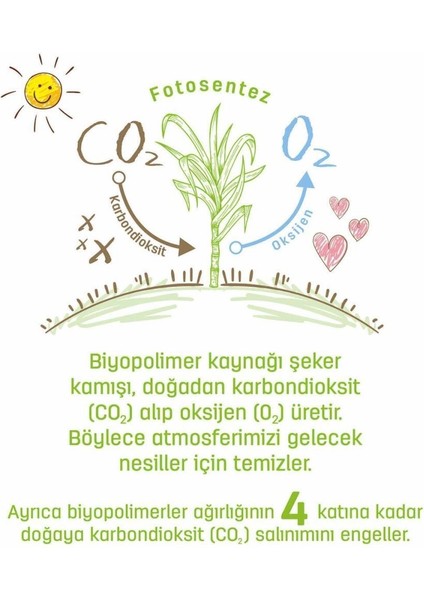 Nessiworld Sleepy Bio Natural Islak Havlu Mendil 3X40 120 Yaprak fırsatları