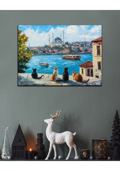 Istanbul'u Izleyen Kediler fırsatları