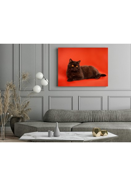 Siyah Kedi Kırmızı Arkaplan - Ahşap Mdf Tablo fiyatları