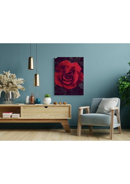 Kırmızı Gül Su Damlacığı - Ahşap Mdf Tablo modelleri