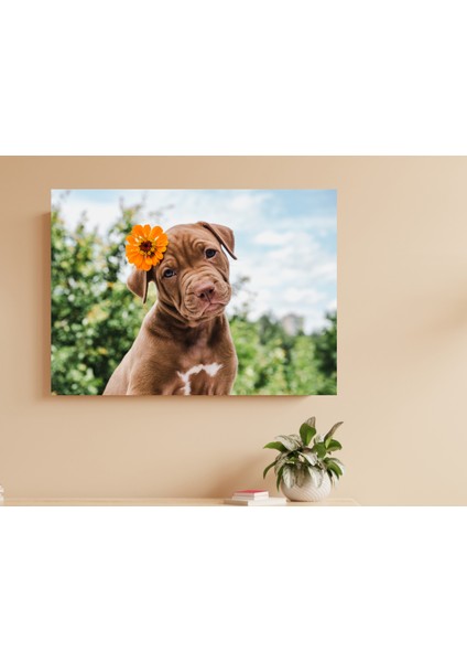 Turuncu Çiçekli Köpek - Ahşap Mdf Tablo modelleri