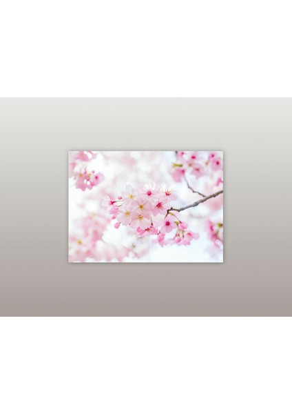 Sakura Dalı - Ahşap Mdf Tablo modelleri