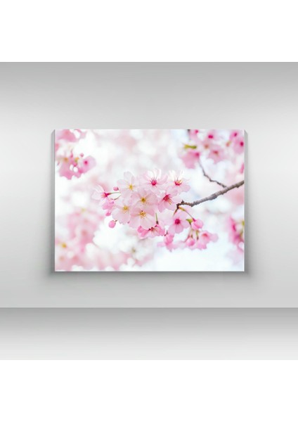 Sakura Dalı - Ahşap Mdf Tablo fırsatları