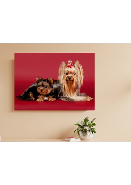Yorkshire Terrier Kırmızı Arkaplan - Ahşap Mdf Tablo fırsatları