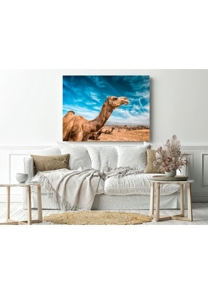 Gökyüzü Deve - Ahşap Mdf Tablo