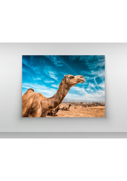 Gökyüzü Deve - Ahşap Mdf Tablo fiyatları