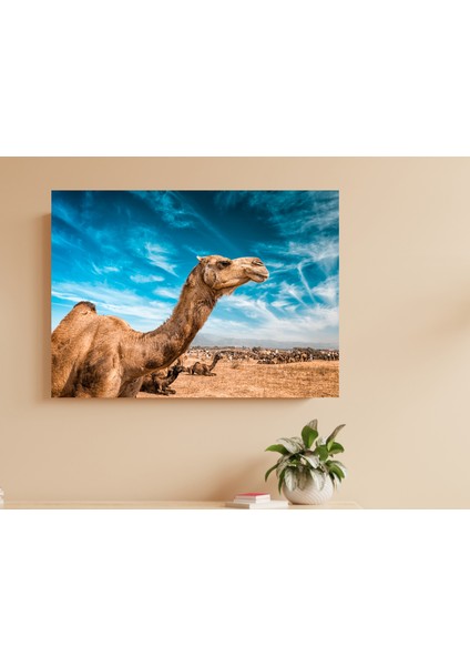 Gökyüzü Deve - Ahşap Mdf Tablo modelleri