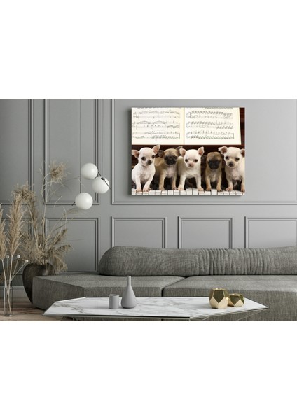 Piyano Çalan Yavru Köpekler - Ahşap Mdf Tablo fiyatları