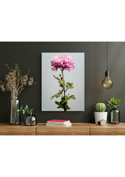 Pembe Kasımpatı - Ahşap Mdf Tablo fiyatları