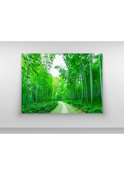 Bambu Ormanları -Ahşap Mdf Tablo