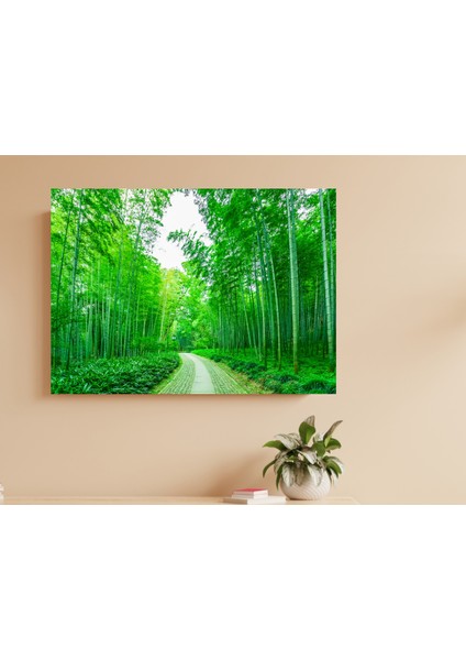 Bambu Ormanları -Ahşap Mdf Tablo modelleri