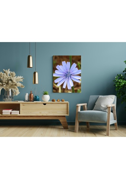Mor Hindiba - Ahşap Mdf Tablo modelleri