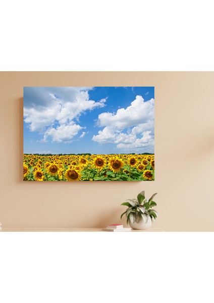 Ayçiçeği Tarlası ve Gökyüzü -Ahşap Mdf Tablo modelleri