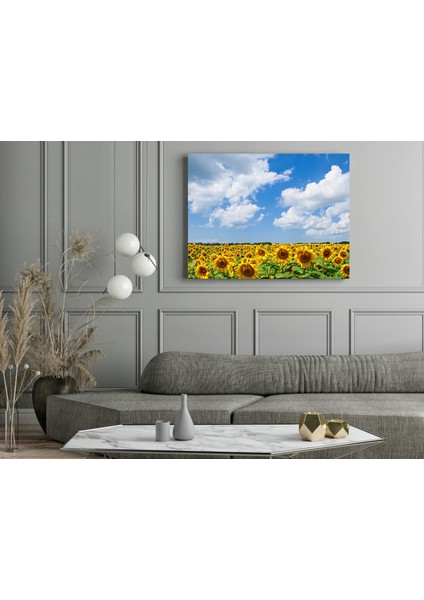Ayçiçeği Tarlası ve Gökyüzü -Ahşap Mdf Tablo fırsatları