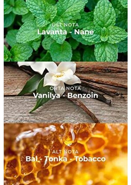 Pacific Blue Edp Erkek Parfüm 100ML | Fresh, Oryantal | Nane, Vanilya, Bal, Tobacco, Lavanta, Tonka fiyatları