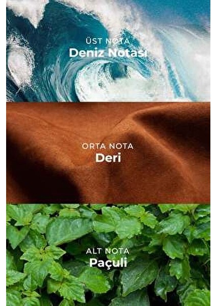 Pacific Green Edp Erkek Parfüm 100ML | Fresh Marina | Deniz Notaları, Deri, Paçuli modelleri