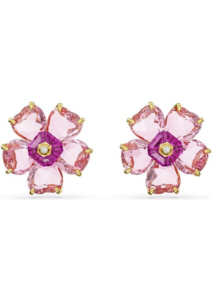 5650563 Swarovski Küpe Florere:pe Pink/gos