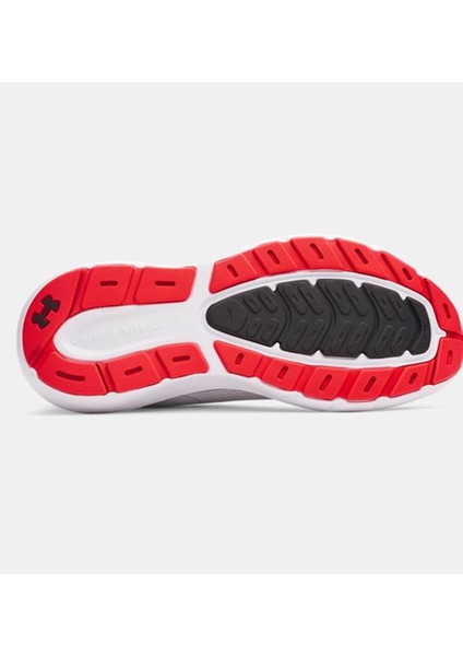 Erkek Ua Charged Rogue 5 Koşu Ayakkabısı 3028256-104 fırsatları