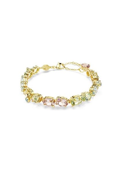 5705808 Swarovski Bilezik Gema:bracelet Mul/gos