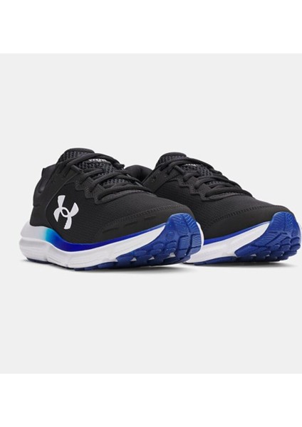 Erkek Ua Charged Assert 10 Koşu Ayakkabısı 3026175-009 indirimleri