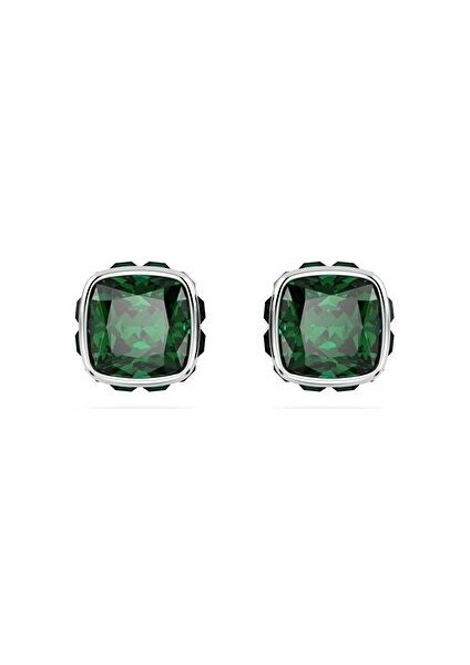 5660801 Swarovski Küpe Birthstone:pe Studs May Gre/rhs